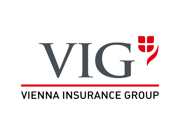 VIG Logo